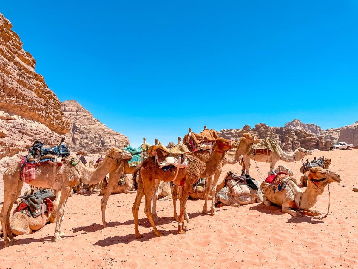 Rum Jordan Camp And Tours Hotel Wadi Rum Exterior foto